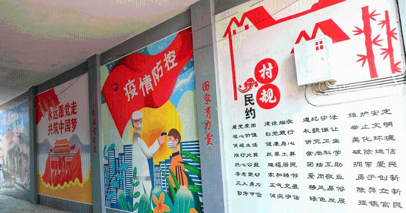 救援受困的小野猫